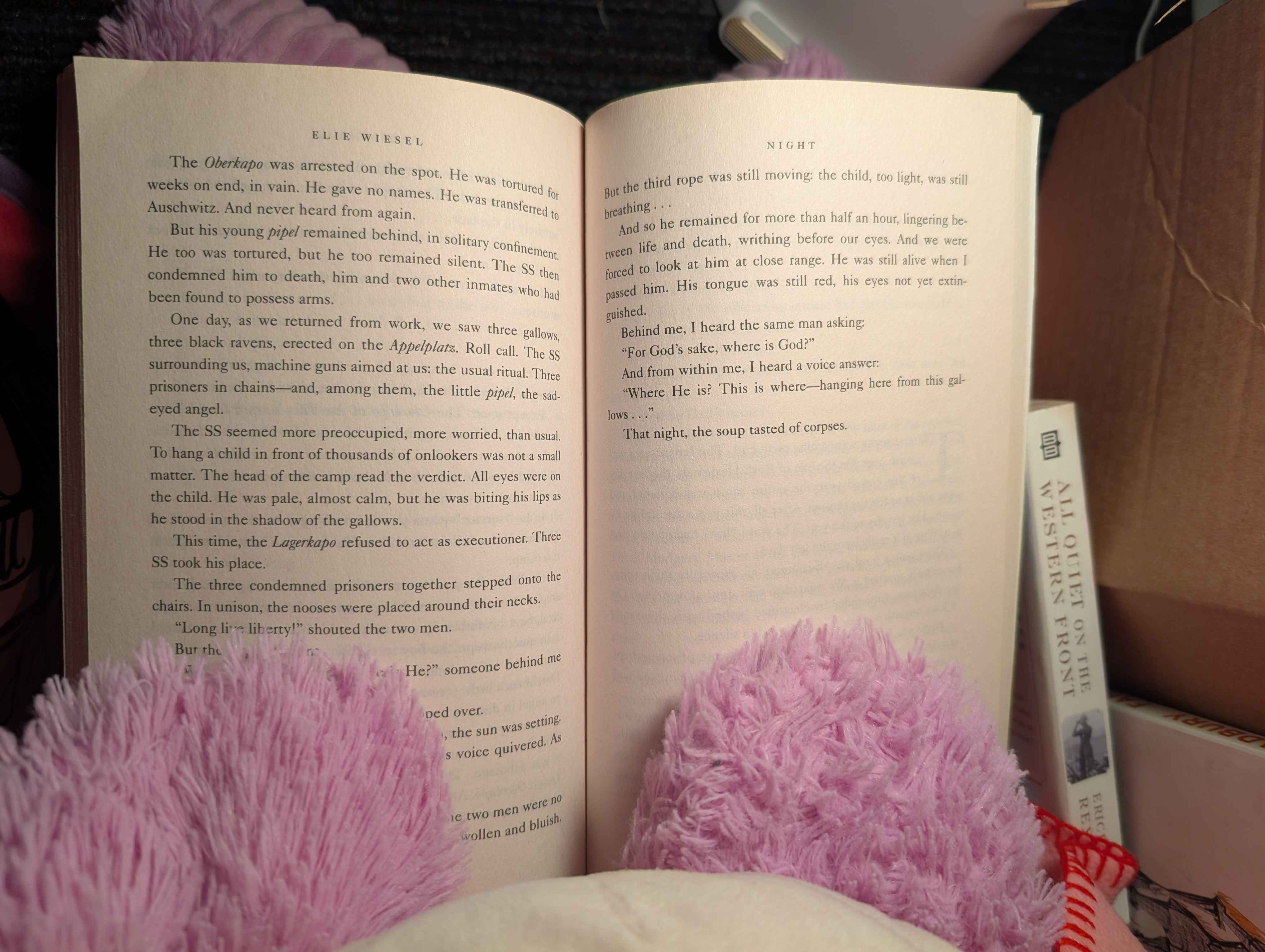 Picture of a Page in Night