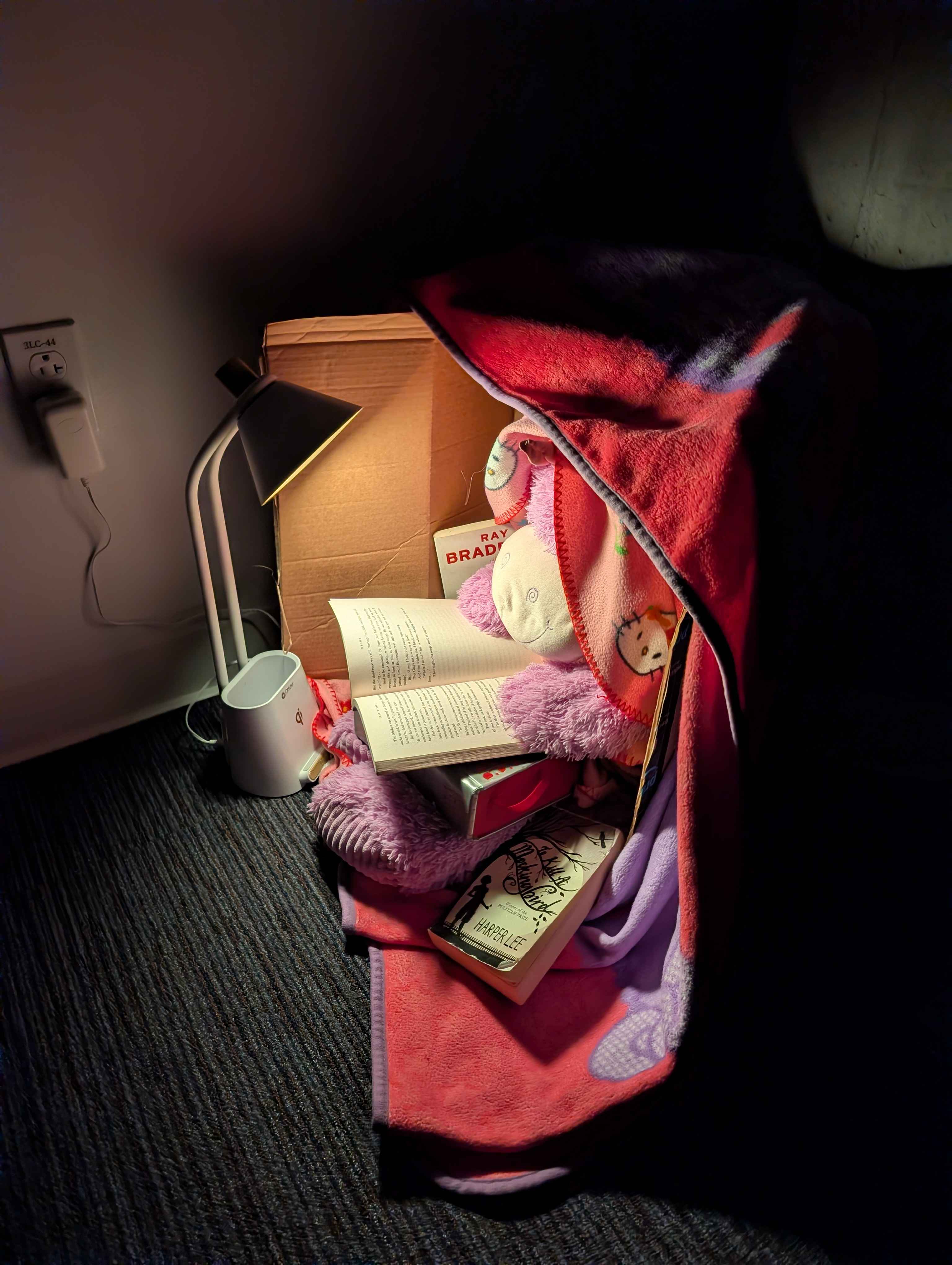 Picture of Gilbert the Unicorn, tucked in a box reading banned books with a light from a lamp.