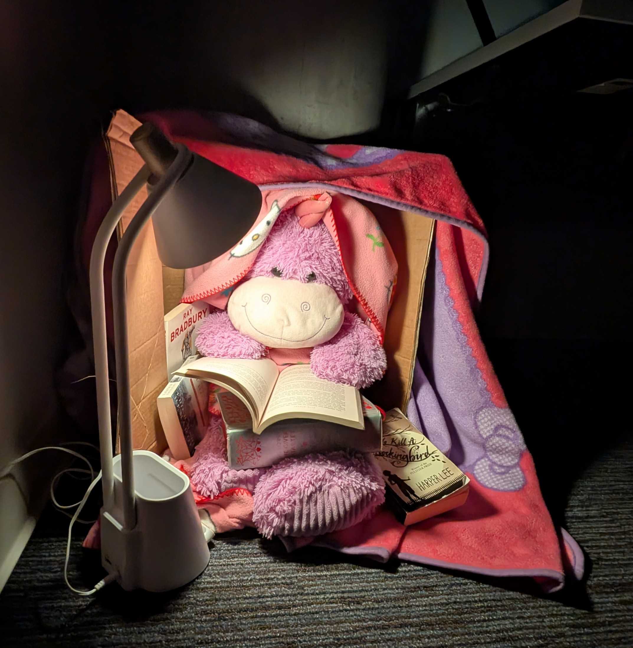 Picture of Gilbert the Unicorn, tucked in a box reading banned books with a light from a lamp.