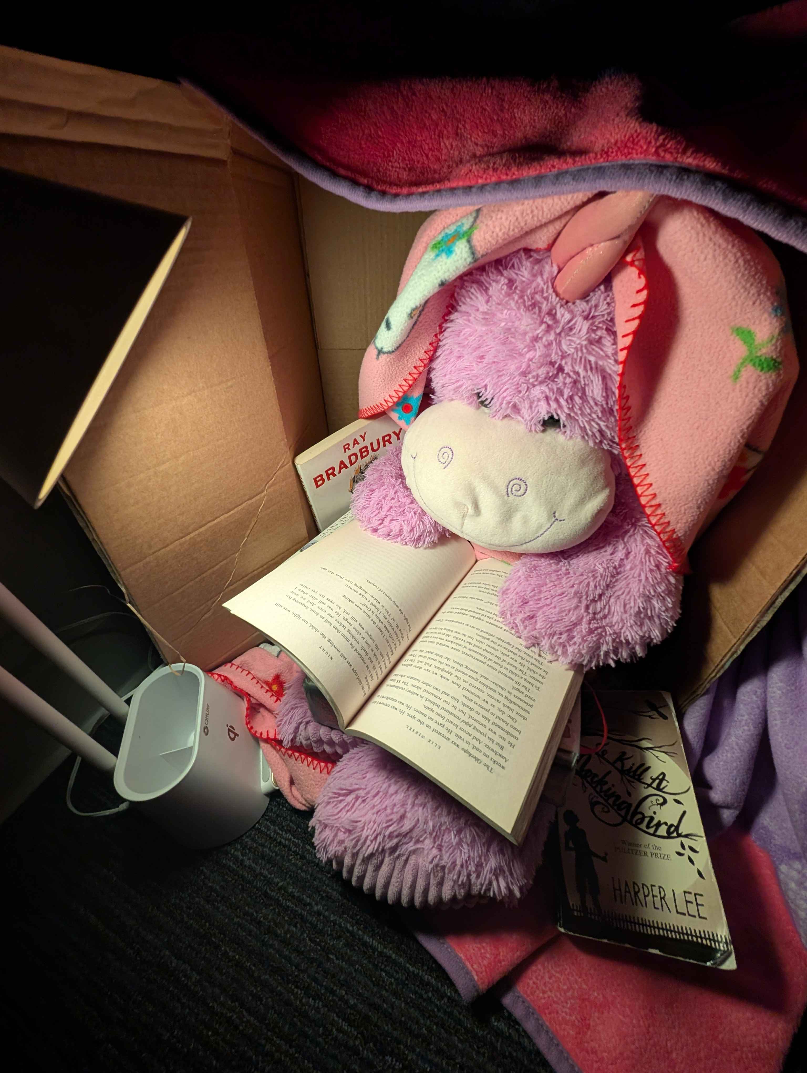 Picture of Gilbert the Unicorn, tucked in a box reading banned books with a light from a lamp.