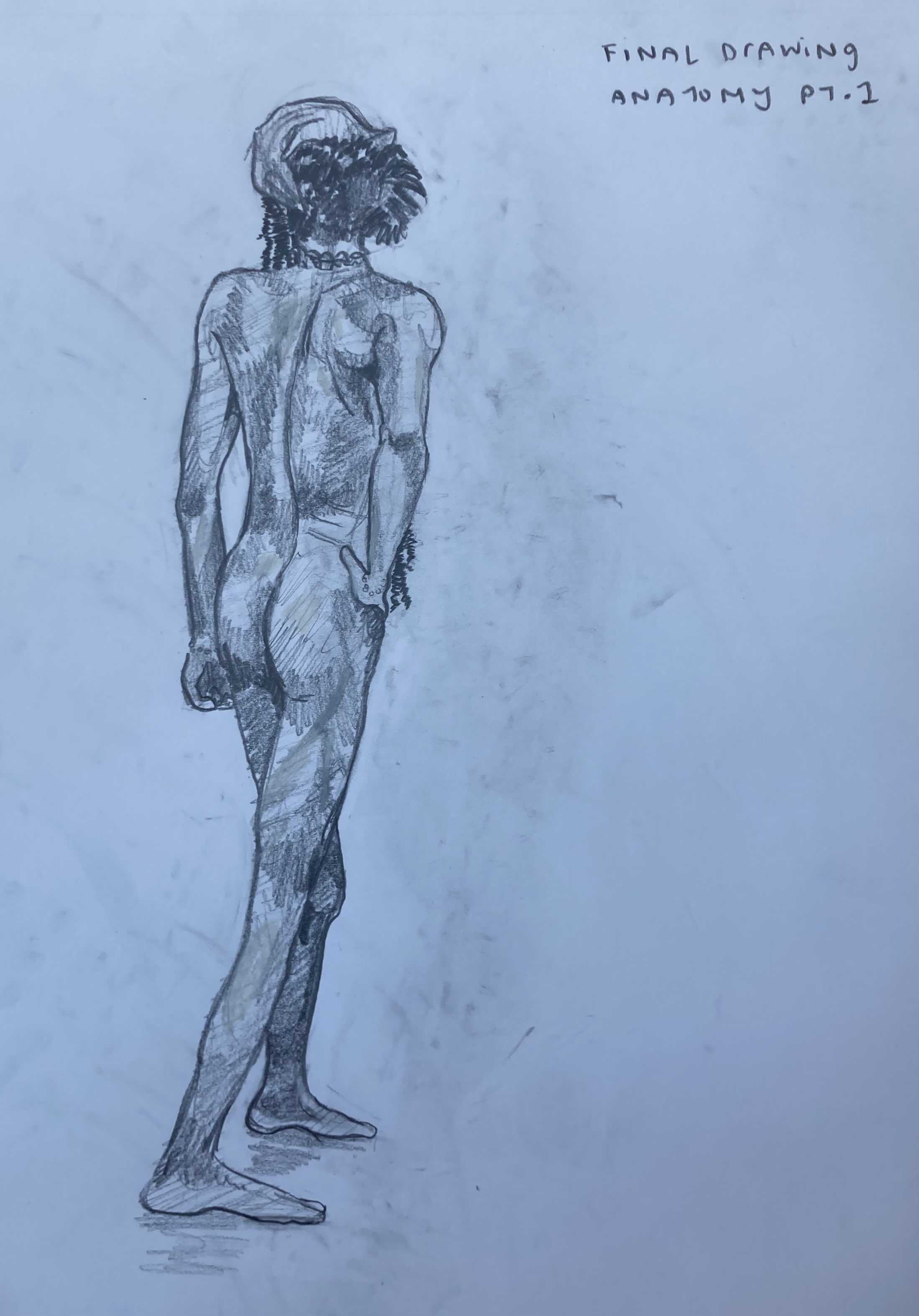Nude Male Figure from the back with graphite